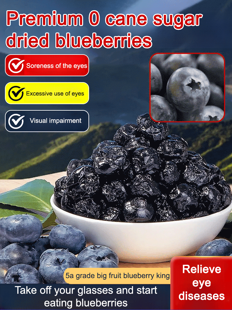 Premium Sugar-Free Blueberry Dried Fruit-9YOE9