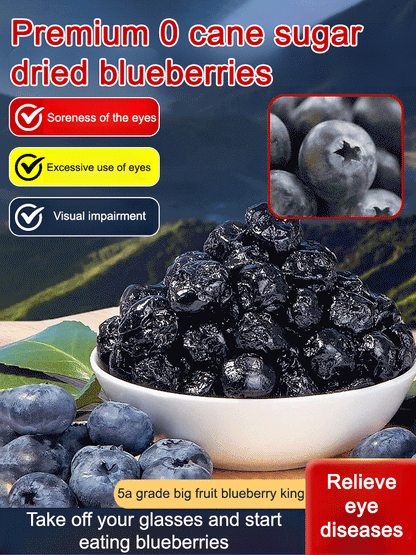 Premium Sugar-Free Blueberry Dried Fruit-9YOE9