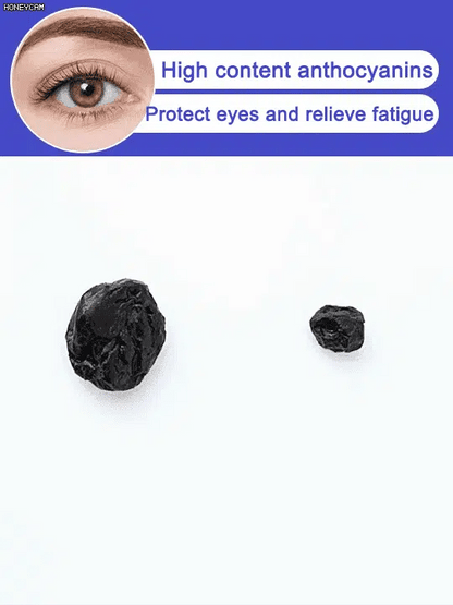 Premium Sugar-Free Blueberry Dried Fruit-9YOE9