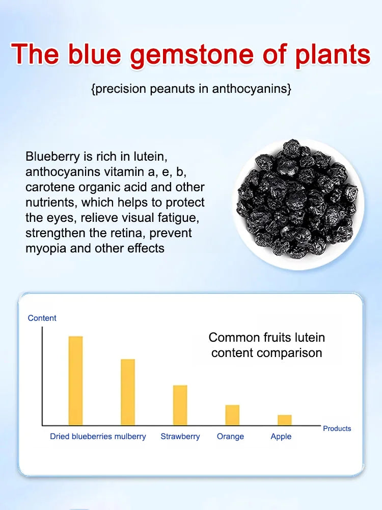 Premium Sugar-Free Blueberry Dried Fruit-9YOE9