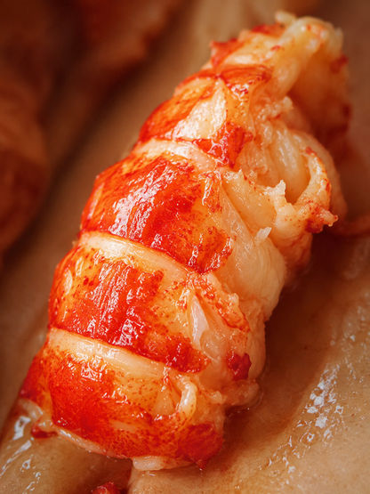 Fresh lobster tail meat with shell-9YOE9