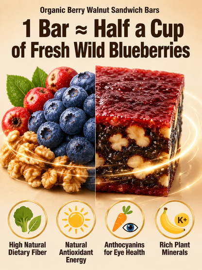 Blueberry Walnut Hawthorn Bites, No Added Sugar-9YOE9