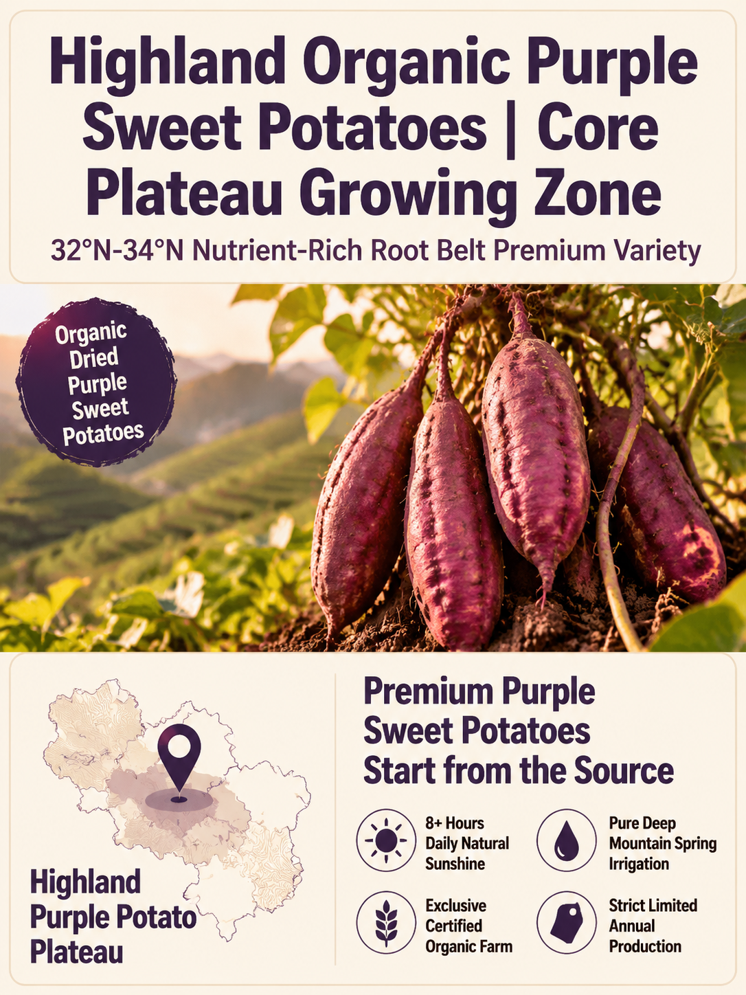 💜Healthy Low Fat Purple Sweet Potato Snack 👨‍👩‍👧‍👦chat and enjoy guilt-free chewy purple bites with your beloved family-9YOE9