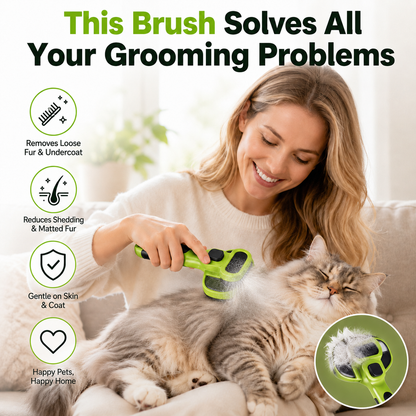Spray, Brush & Groom Without the Flying Fur-9YOE9