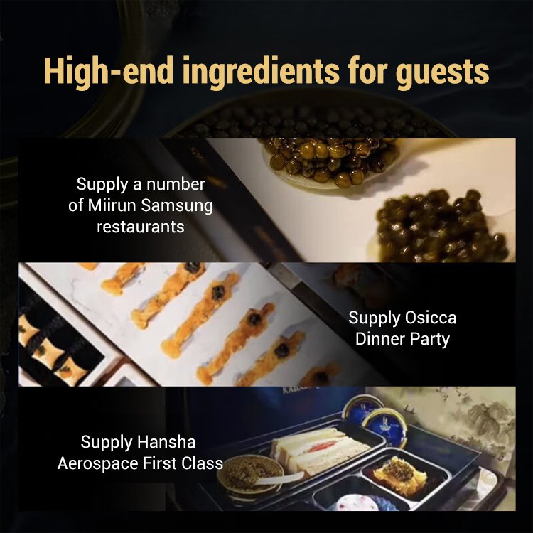 Beluga caviar from Russia-9YOE9