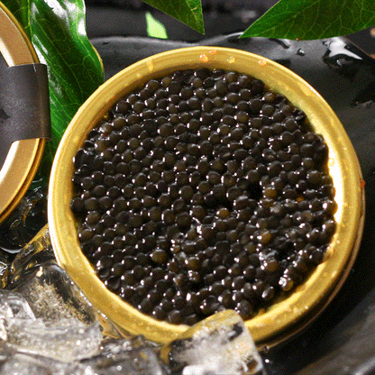 Beluga caviar from Russia-9YOE9