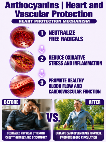💜Healthy Low Fat Purple Sweet Potato Snack 👨‍👩‍👧‍👦chat and enjoy guilt-free chewy purple bites with your beloved family-9YOE9